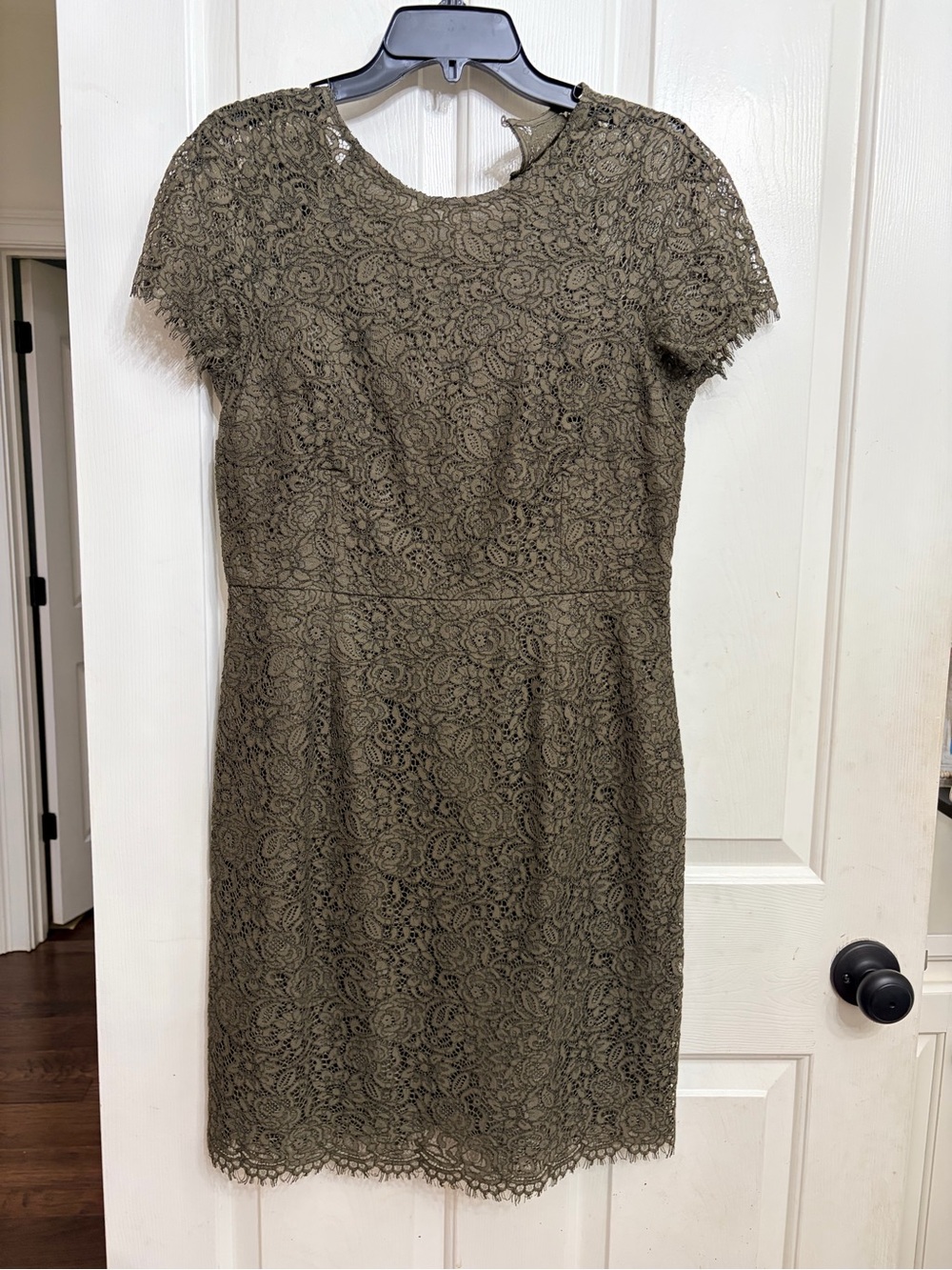 Banana Republic Olive Lace Short-Sleeve Sheath Dress